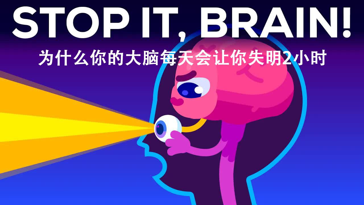 kurzgesagt科普 为什么你的大脑会让你失明两小时