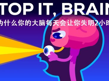 kurzgesagt科普 为什么你的大脑会让你失明两小时