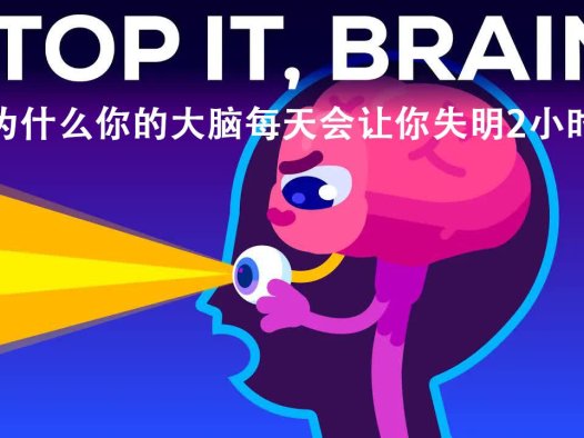 kurzgesagt科普 为什么你的大脑会让你失明两小时