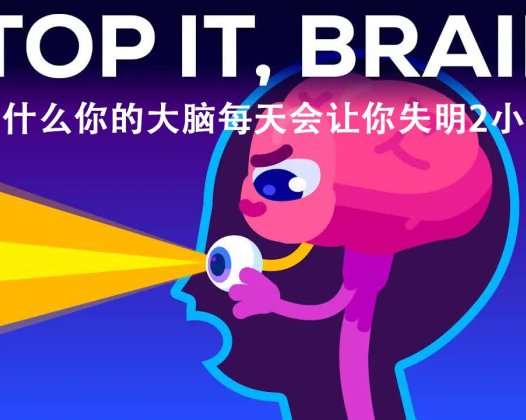 kurzgesagt科普 为什么你的大脑会让你失明两小时